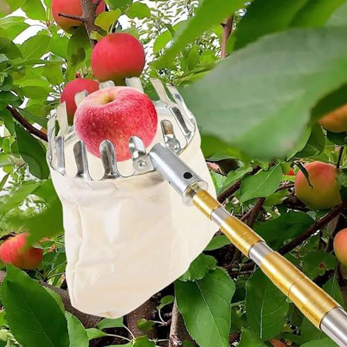 Obstpflücker Mit Teleskopstiel,2-7M Apfelpflücker Mit Leichter Edelstahl TeleskoppfahlKirschpflücker, Pflaumenpflücker (Color : B, Size : 2.5m(8.2ft))