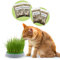 R&R SHOP - Kit Cataire Double Graines - Pot de Germination, 2 Types d'herbe à Chat, stimulante et Digestive, 4 sachets de graines et substrat, Convient à Tous Les Chats