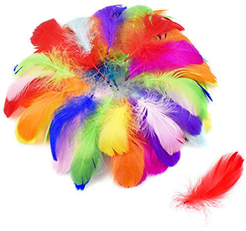 Fangehong 100Pcs Colorful Feathers, Feathers for Crafts, Crafting Feathers for Dream Catchers, 6-12cm Natural Goose Soft Feathers for Kids DIY Birthday Party Decorations (Multicolor)