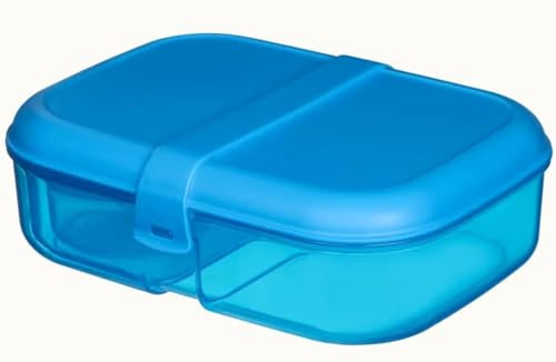 Sistema Lunch 1.1L Ribbon Box