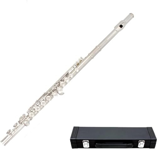 LABLADUO Flöjter, Flöjter Musikinstrument Nickelpläterad C Tune 16-hålsflöjt Professionell Flöjt Vindinstrument Flöjt för Nybörjare Studenter