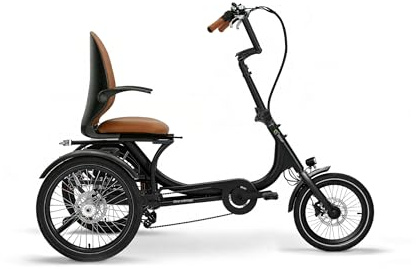 SachsenRAD T6 Comfort Triciclo Elettrico Pieghevole per Anziani e Adulti, 20” in Alluminio con Telaio Basso, Assistente alla Spinta 6 km/h, Luce Posteriore con Freno Integrato e Differenziale