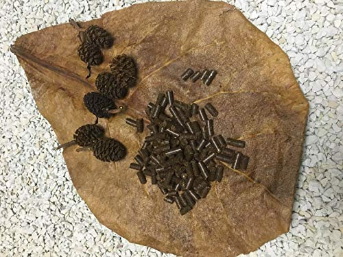 Catappa-Erle Sticks 50g Pellets für Garnelen Krebse Schnecken & Co Futtersticks und zur Wasseraufbereitung geeignet