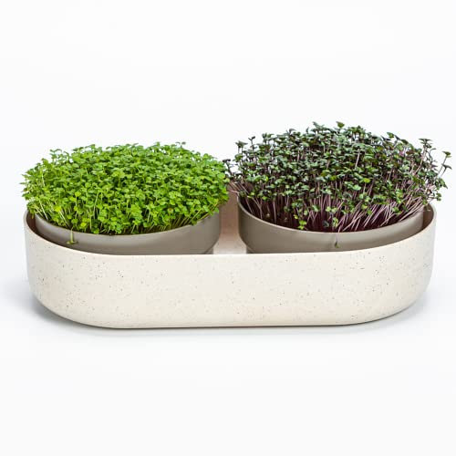Urbalive 2-in-1 große Keimschale Set - 2X Kresse Anzuchtschale für Sprossen, Kressesamen, Microgreens - Design Kressesieb aus hochwertigem Kunststoff - Keimsprossenbox Keimgerät mit Regrow Option