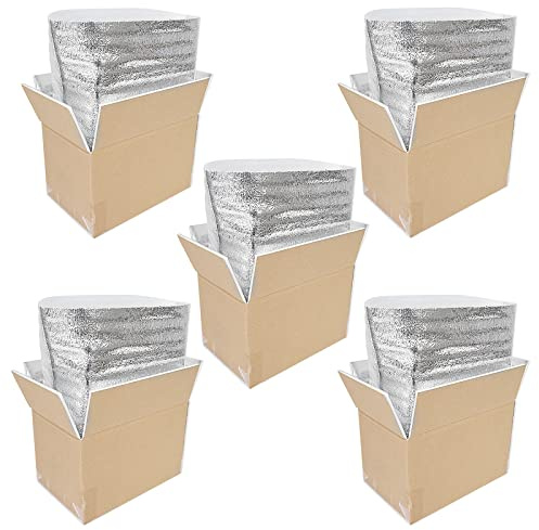 Thermo Chill Double Insulated Carton with Foil Insulated Bag Liner, Cold Shipping Box for Frozen Food, Cooler Moving Box for Posting, Small Parcel Postage Postal Mailing 250x155x140mm (5 Pieces)