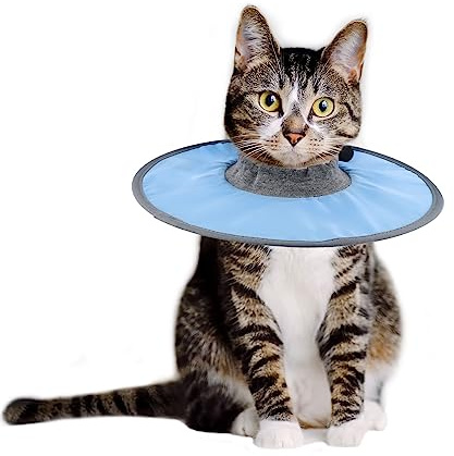Cat Recovery Collar, Justerbart Skyddande Katthalsband Vattentätt Elisabethanskt Halsband för Katter Kattungar Valpar Efter Operation för att Sluta Slicka Sår (Blå)