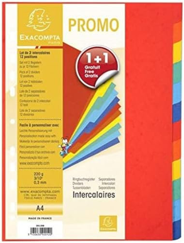 Exacompta - Ref. 2012SE - 2 Sets Trennblätter aus recyceltem Karton, 220 g/m², mit 12 neutralen Registern – Format zum Abheften, A4, Maße 22,5 x 29,7 cm