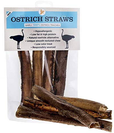 J R Pet Products JR Ostrich Straws