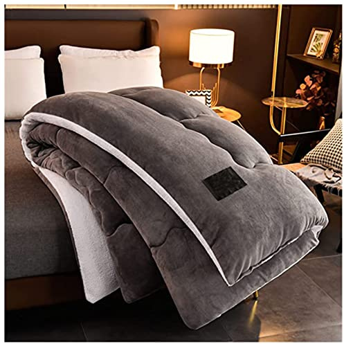 BDMFJY Super varm lamm vinterfilt dubbelsidig fleece täcke förtjockat varmt plyschtäcke för kallt väder, grå, 180 x 220 cm (3,5 kg)