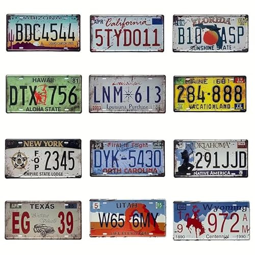 USA Kennzeichen Set 12 Stück – US Nummernschilder Replika aus Metall – Auto Deko Schilder – Vintage Blechschilder im amerikanischen Design – Wanddeko für Garage, Werkstatt, Bar, Wohnzimmer