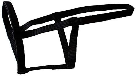 Rhinegold Halfter, metallfrei, 0, Schwarz, Cob