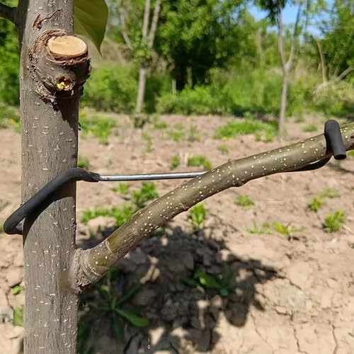 Extracteur de branches d'arbre fruitier, nouvel épandeur de branches de fruits en plastique enveloppé de fil de fer n'endommage pas les branches, outil de pliage de branche stéréotypé pour arbre (18T)