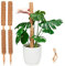 Pisol Moosstange für Pflanzen Monstera, ausziehbare Pflanzenstäbe, Pflanzstäbe für Topfpflanzen, 39,5 cm Kokosfaser, Pflanzengitter für Sphagnum, Pothos und andere Kletterpflanzen (4 Stück)