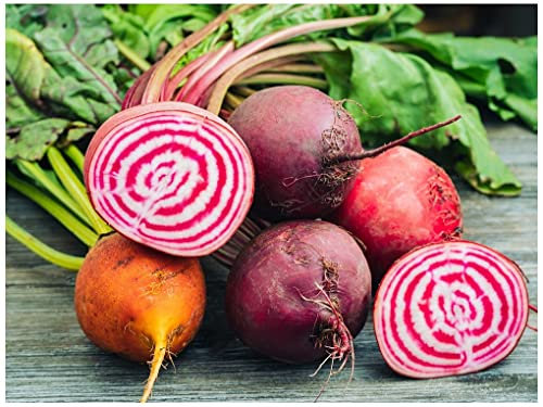 PREMIER SEEDS DIRECT - Beetroot - Rainbow Mix - 6 Grams