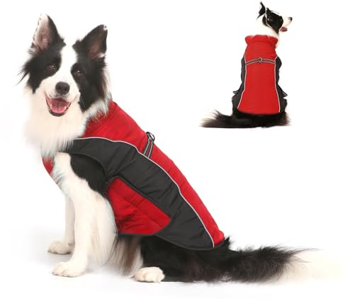 Cappotto per Cani Giacca Calda, Giacca Riflettente per Cani Abbigliamento Invernale Impermeabile per Caldo Gilet Antivento per Animali Domestici Costume per Canis di Piccola Taglia Media