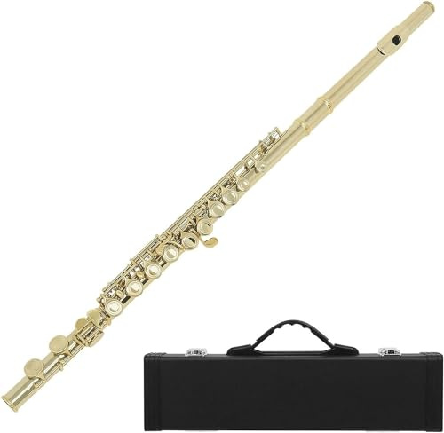 Flöjtar, flöjtar musikinstrument Cupronickel nickelpläterad 16 hål C nyckel flöjt träblåsinstrument med rengöringsduk pinne handskar fodral