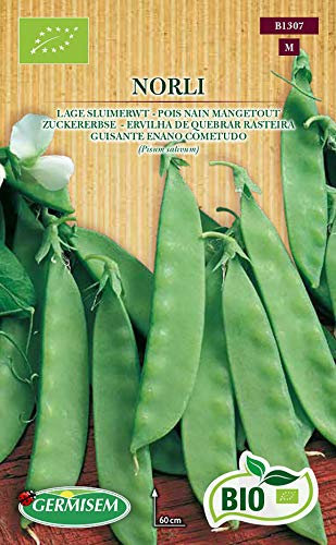 Germisem Bio Norli Graines de Pois à Sucre 80 g