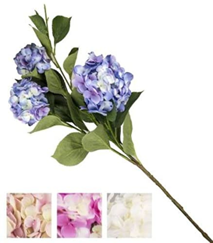 VEA SRL Stelo G. ORTENSIE CHA55314