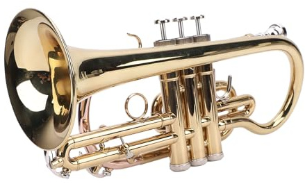 Bb Cornet Trumpet Set, LDS830 Orchestral Instrument with Trumpet Cleaning Kit
