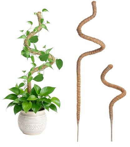 Wigearss 2 Pezz Bastone di Muschio, Palo Cocco Piante Sostegno Piante Supporti, Pieghevoli Fibra di Cocco, Tutore Muschiato per Monstera Rampicanti, 60cm e 120cm