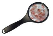 Fischfutter Lebendfutter SAHAWA Daphnien Wasserflöhe 10 x 90 ml Beutel