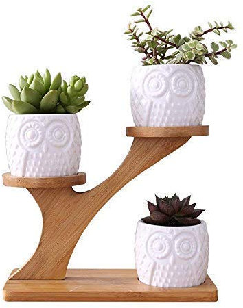 LINGLAN Sukkulenten-Übertopf aus Keramik für den Garten, Mini-Eule, Blumentöpfe mit Bambus-Ständer, 3 Stück