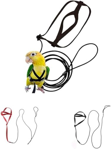 CiCixixi 2 pcs Harnais et Laisse D'oiseau pour Perroquet, Laisse RéGlable De Harnais D'Oiseau De Perroquet Laisse Volante Anti-Morsure Corde en Nylon D'EntraîNement