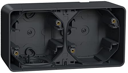 Schneider Electric Caja doble superficie horizontal Gris