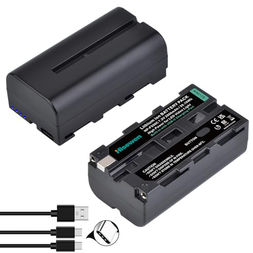 Hisewen Paquete de 2 baterías NP-550 de 2800 mAh, compatible con luz de vídeo LED, luz de anillo, monitor (no para videocámara ni cámara)