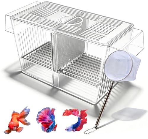 GOEDCH 23 cm - Bac d'élevage en acrylique - Bac d'élevage - Bac d'élevage transparent - Système de cloison amovible - Filet de pêche pratique - Pour l'entretien des poissons