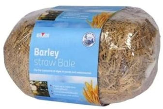 Bermuda Barley Straw Natural Algae control Mini Bale