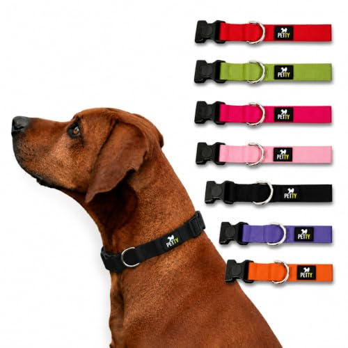 PettyItalia, Collare Cane Regolabile in Biothane, Impermeabile, con Anello D-Ring e Chiusura di Sicurezza, per Cani di Taglia Piccola, Media e Grande, Colore Viola, Taglia M
