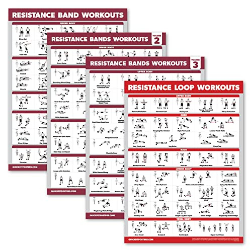 Palace Learning 4 Pack - Resistance Bands Workout Exercise Posters Volume 1, 2 & 3 + Resistance Loops Fitness Chart (LAMINATED, 18 x 24)
