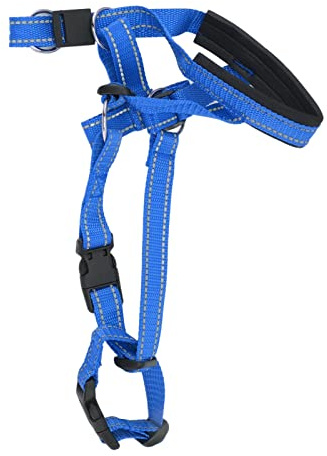 OVAQUIXI Hundhalsband, Hundgrimma i Nylon med Säkerhetsrem, Justerbart Anti Pull-huvudhalsband för Hundar XL, Andningsbart Dricksutrymme, Nacktrycksavlastning för Utomhuspromenader (XL)