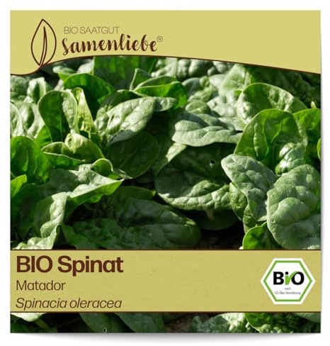 Samenliebe BIO Spinat Samen alte Sorte Matador aromatischer Blattspinat großblättriger Frühjahr und Winterspinat grün 5,1g samenfestes Gemüse Saatgut für Gewächshaus Freiland und Balkon winterhart