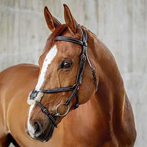 Sunride mexikanische Trense Acapulco mit Zügel - aus Echtleder mit Fell, gepolstert, anatomisch (Pony, braun)