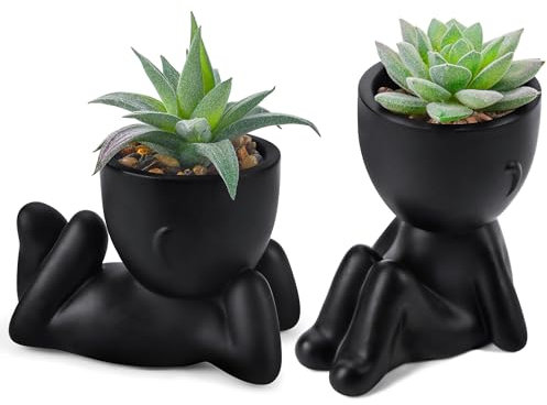 Der Rose Set of 2 Fake Plants Artificial Succulent Plants for Office Desk Accessories Black Bathroom Home Room Aesthetic Decor Indoor