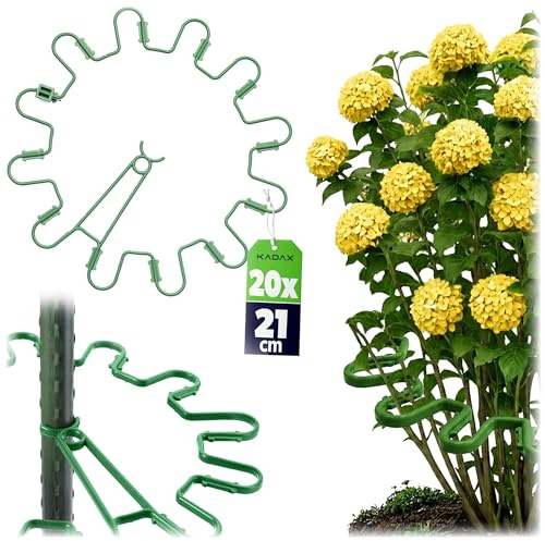 KADAX Perennhållare, rund Ø 21 cm i set om 20, växthållare av plast, växtstöd, perennstöd för hortensior och pioner, hortensiahållare, växtring (grön)