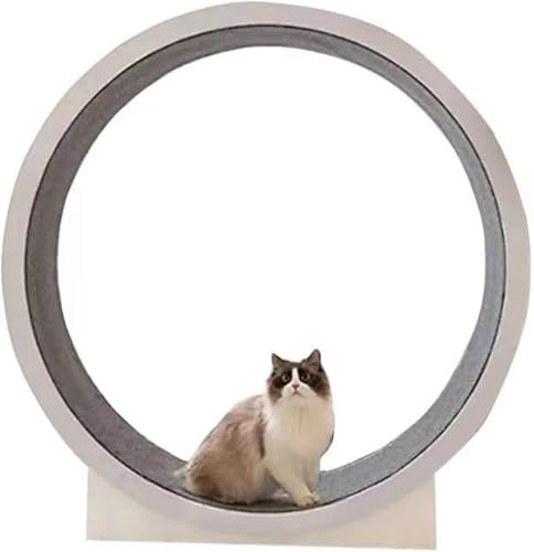 Cat Exercise Wheel For Indoor Cats,120cm Diameter Large Size Roller,Cat Running Wheel With Carpeted Runway,Loss Weight Device Sports Equipment For Pets