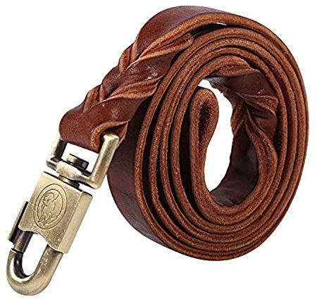 Guinzaglio del Cane, Corda di Cuoio della Cintura di Sicurezza Regolabile Corda Intrecciata per Cani da Correre Jogging o Passeggiata (2,5x150 cm)
