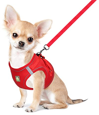 FEimaX Dog Harness and Leash Set Puppy and Kitten Vest Reflective for Safe