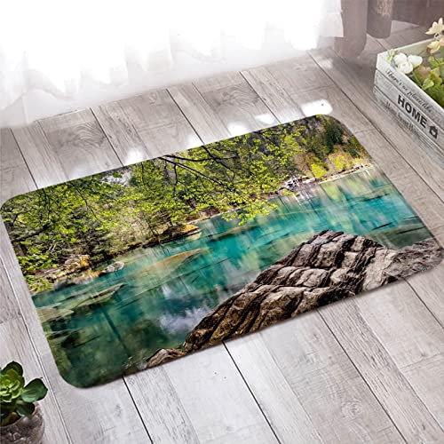 Fussmatte Schmal, Outdoor Teppich 50X80cm Grün See und Bäume für Wohnzimmer Schlafzimmer