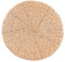 Tyenaza Tatami-Kissen, rundes, verdicktes Sitzkissen, Pouf, handgewebt, weiche Rohrkolben-Bodenmatte, Pouf, Schwammfüllung, Tatami-Meditationssitzkissen für Tatami, Zen, Yoga,