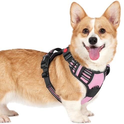 rabbitgoo Hundegeschirr Kleine Hunde Leichtes Anlegen, S, Rosa