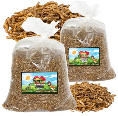 Bite & Delight Premium Mehlwürmer Getrocknet - Proteinreiches und Fettreiches Vogelfutter Wildvögel Ganzjährig - Igelfutter - Eichhörnchen Futter - Hamster Futter - Universalfutter - 10 kg
