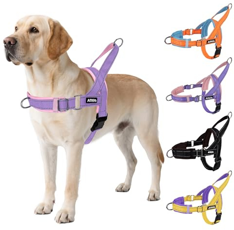 AIITLE Arnés táctico Mejorado a Prueba de Escapes para Perros, Ajustable en Cuello y Pecho, sin tirones, con asa Acolchada Suave, Caminar y Correr para Perros Extra Grandes Púrpura-Rosa XL