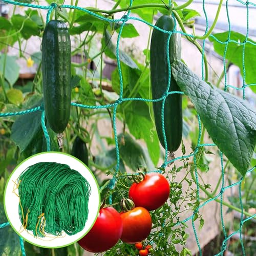 Retei per Piante Rampicanti, Rete per Rampicanti, Rete da Giardino per Piante Rampicanti Cetrioli, Rete Fissa Rampicante di Sostegno per Piante, Ortaggi e Frutta (2m*3m)