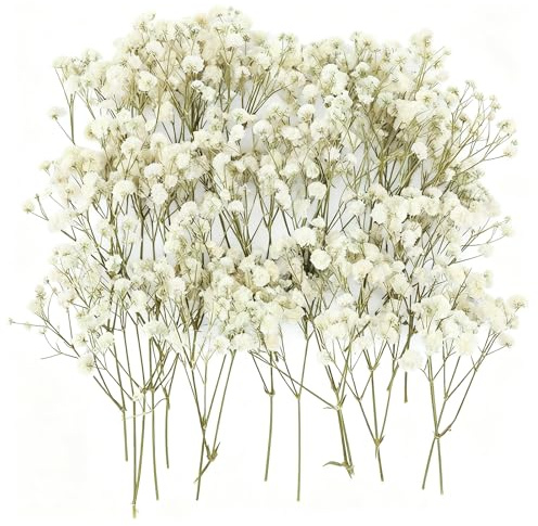 ForestM 100PCS Dried Pressed Flowers, Natural Baby Breath Dried, Gypsophila Mini Breath Flowers, Real Natural Gypsophila for Vase, Crafts, Resin Art Mini Mixed Floral Set for DIY, Wedding Card