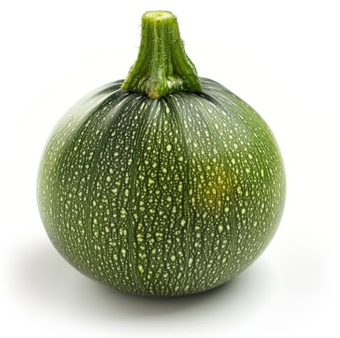 25 Graines de Courgette Ronde - SemiSauvage Permaculture