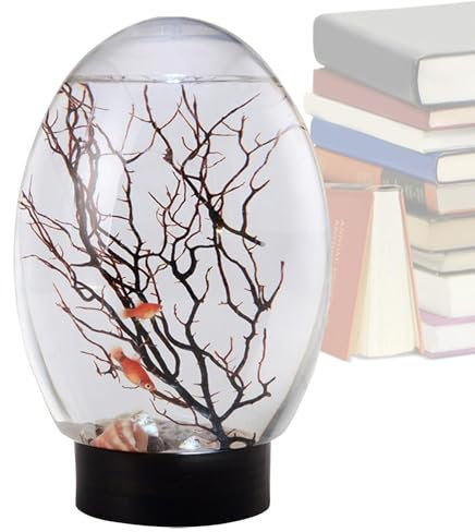 Poisson Betta | Petit aquarium avec lumière LED | Paysage de bureau portable, modèle d'aquaponie amusant pour maison, étude, hôtel